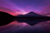 photo?id=937&suffix=t