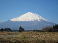 photo?id=938&suffix=t