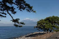 photo?id=941&suffix=t