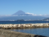 photo?id=946&suffix=t