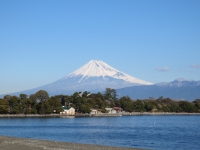 photo?id=948&suffix=t