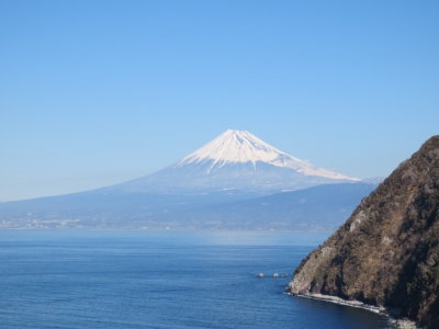 photo?id=949&suffix=m