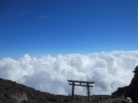 photo?id=950&suffix=t