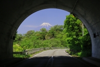 photo?id=951&suffix=t