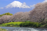 photo?id=952&suffix=t