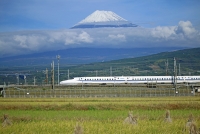 photo?id=953&suffix=t