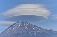 photo?id=955&suffix=t