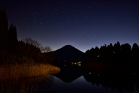 photo?id=956&suffix=t