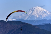 photo?id=957&suffix=t