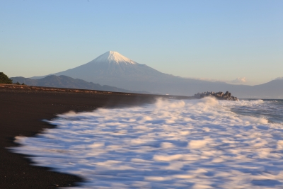 photo?id=958&suffix=m