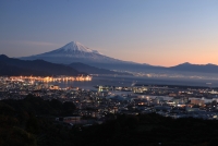 photo?id=959&suffix=t