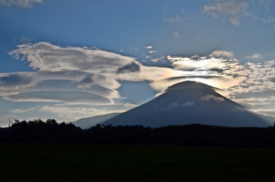 photo?id=964&suffix=m
