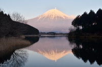 photo?id=965&suffix=t