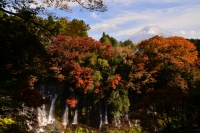 photo?id=968&suffix=t