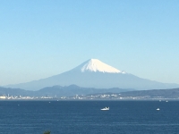 photo?id=970&suffix=t