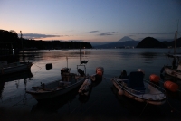 photo?id=971&suffix=t