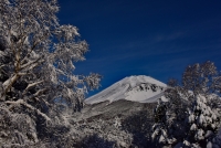 photo?id=972&suffix=t