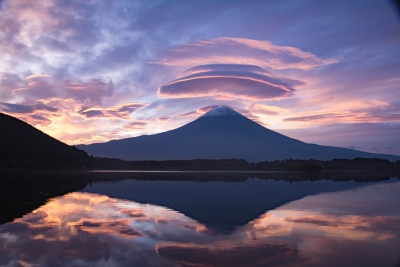 photo?id=974&suffix=m