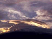 photo?id=975&suffix=t