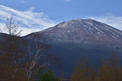 photo?id=976&suffix=m