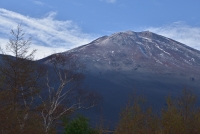 photo?id=976&suffix=t