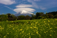 photo?id=980&suffix=t