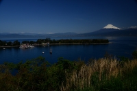 photo?id=981&suffix=t