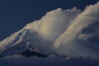 photo?id=984&suffix=t