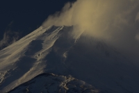 photo?id=985&suffix=t