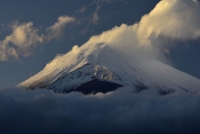 photo?id=986&suffix=t