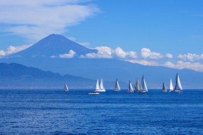 photo?id=991&suffix=m