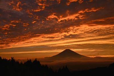 photo?id=993&suffix=m