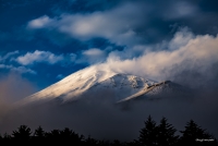 photo?id=995&suffix=t