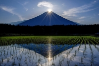 photo?id=997&suffix=t