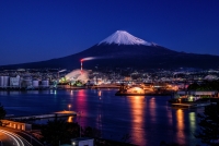 photo?id=998&suffix=t