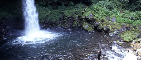 風景 自然 ハローナビしずおか 静岡県観光情報