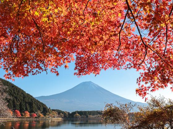 秋の富士山と紅葉フォトスポット10選！（富士宮市）