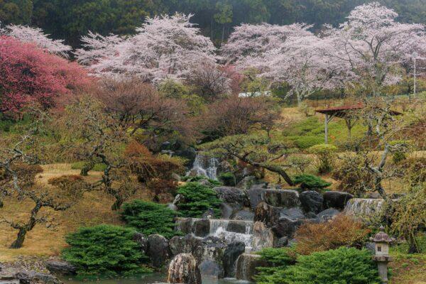 奥山高原