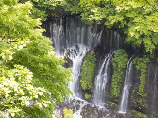 白糸の滝