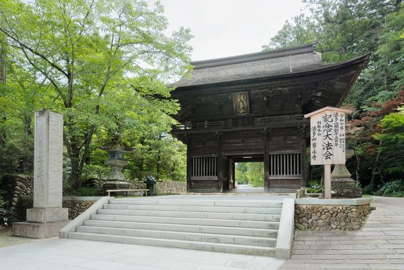 門の深みのある色合いと、新緑のコントラストが美しい
