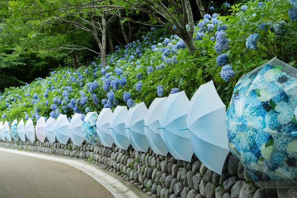 SNSでも撮影が楽しいスポットだと話題