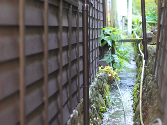 趣のある風景