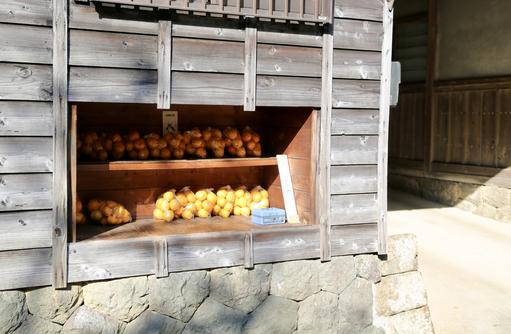 みかんの無人販売