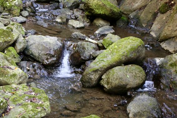 ポカポカ陽気のため涼しげな川の流れ