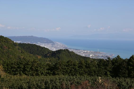 山頂からの景色