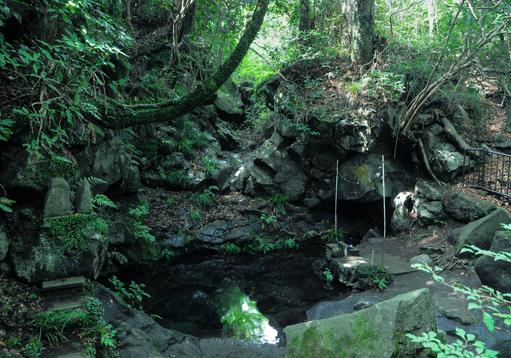 「お鬢水（おびんみず）」は湧水が溶岩の窪地にたたえられ池となったもの。メインの滝である芝川本流が落下する部分の上部にあり、その水は白糸の滝の一部として流れ落ちている