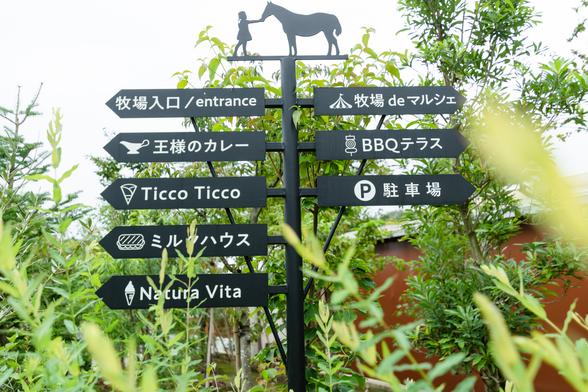 2021年にオープンした入場無料エリアは、木がふんだんに植えられた庭が素敵。コロナ禍で疲れている方々に、癒しの場所を提供したいと考えてつくられた