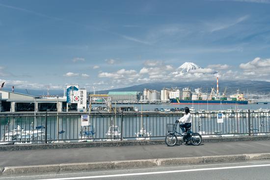 しらすの水揚げで有名な田子の浦港