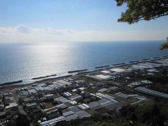いちご栽培のビニールハウスが並ぶ。いちごは静岡県の特産品で、章姫、紅ほっぺ、きらぴ香は静岡生まれの品種