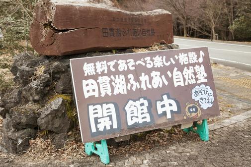 たぬきの看板